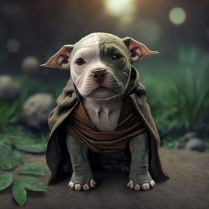 Meet your Posher, Christa